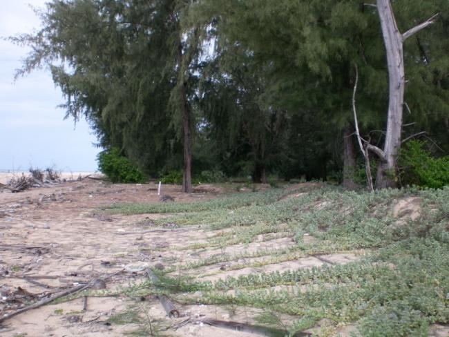 SANY7390.jpg